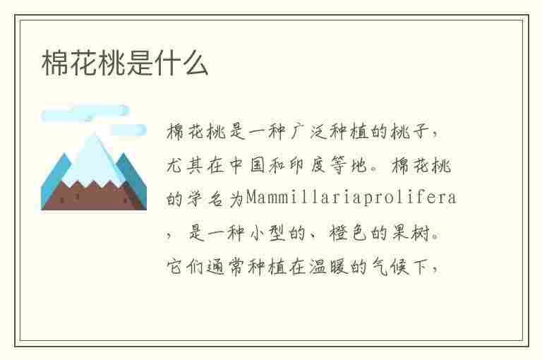 棉花桃是什么(棉花桃是什么意思)